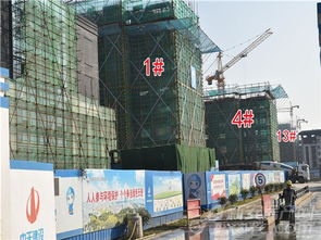 2023年11月住宅建設(shè)工程進(jìn)度報(bào)告